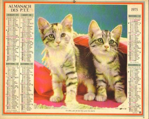 Ancien calendrier PTT avec des chatons.